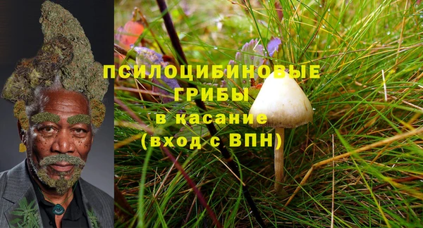 винт Арсеньев