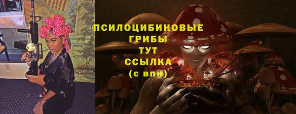 винт Арсеньев