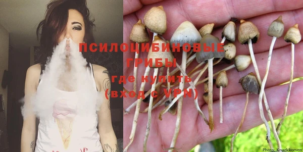 винт Арсеньев