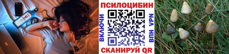 Псилоцибиновые грибы мухоморы  Светлоград 